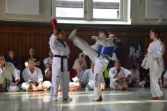Budo-Gala-2023-109-Taekwondo