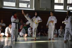 Budo-Gala-2023-111-Taekwondo