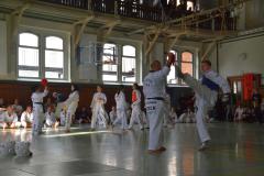 Budo-Gala-2023-114-Taekwondo