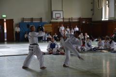 Budo-Gala-2023-122-Taekwondo