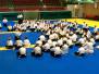 Lehrgang mit Inagaki-Shihan Holbaek, Dänemark Mai 2016