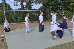 Aikido_05