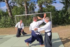 Aikido_14