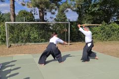 Aikido_17